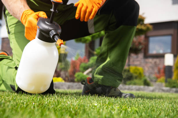 Best Emergency Pest Control  in Duncan Falls, OH